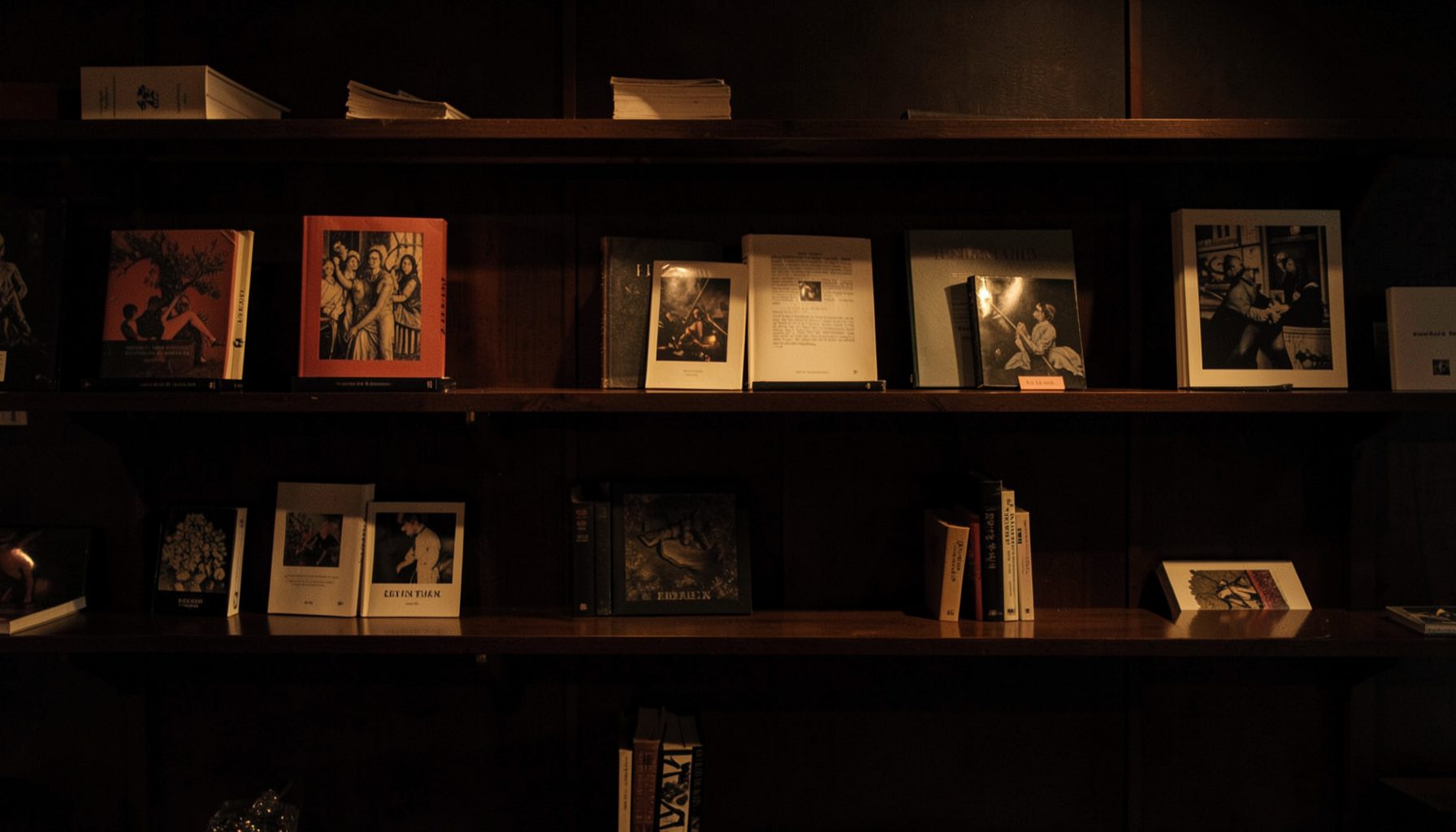 A dimly lit gallery wall with art books and monographs arranged on dark wooden shelves, warm amber and deep brown tones